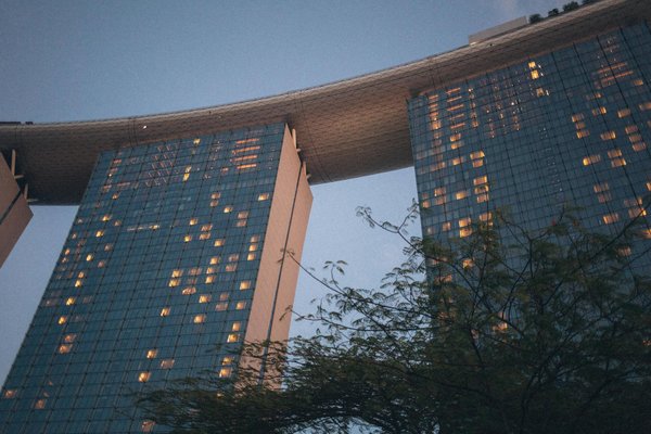 Photographie sous-marine : votre smartphone étanche peut-il vraiment rivaliser avec les pros ?